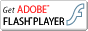 get adobe flash