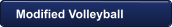 Modified Volleyball
