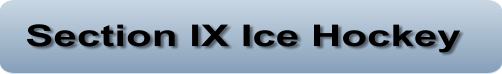 Section IX Ice Hockey