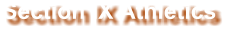 Section IX Athletics